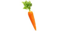 Composition nutritionnelle carotte - Aprifel
